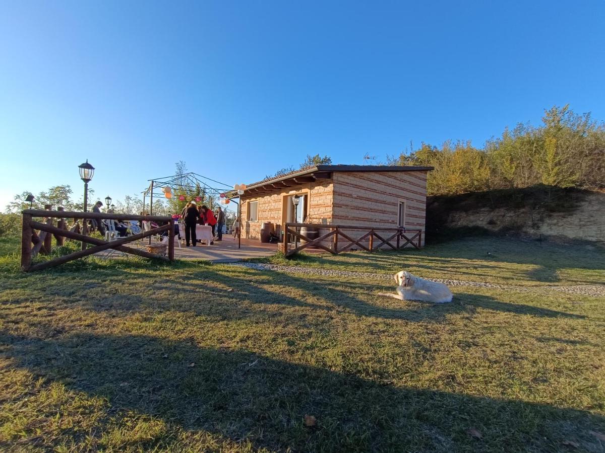 Tormalina Rosa Presso La Bordona Villa Vignale Monferrato Bagian luar foto